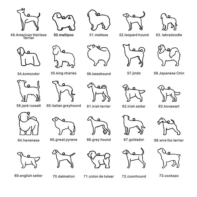 Custom Pet Name & Silhouette Necklace